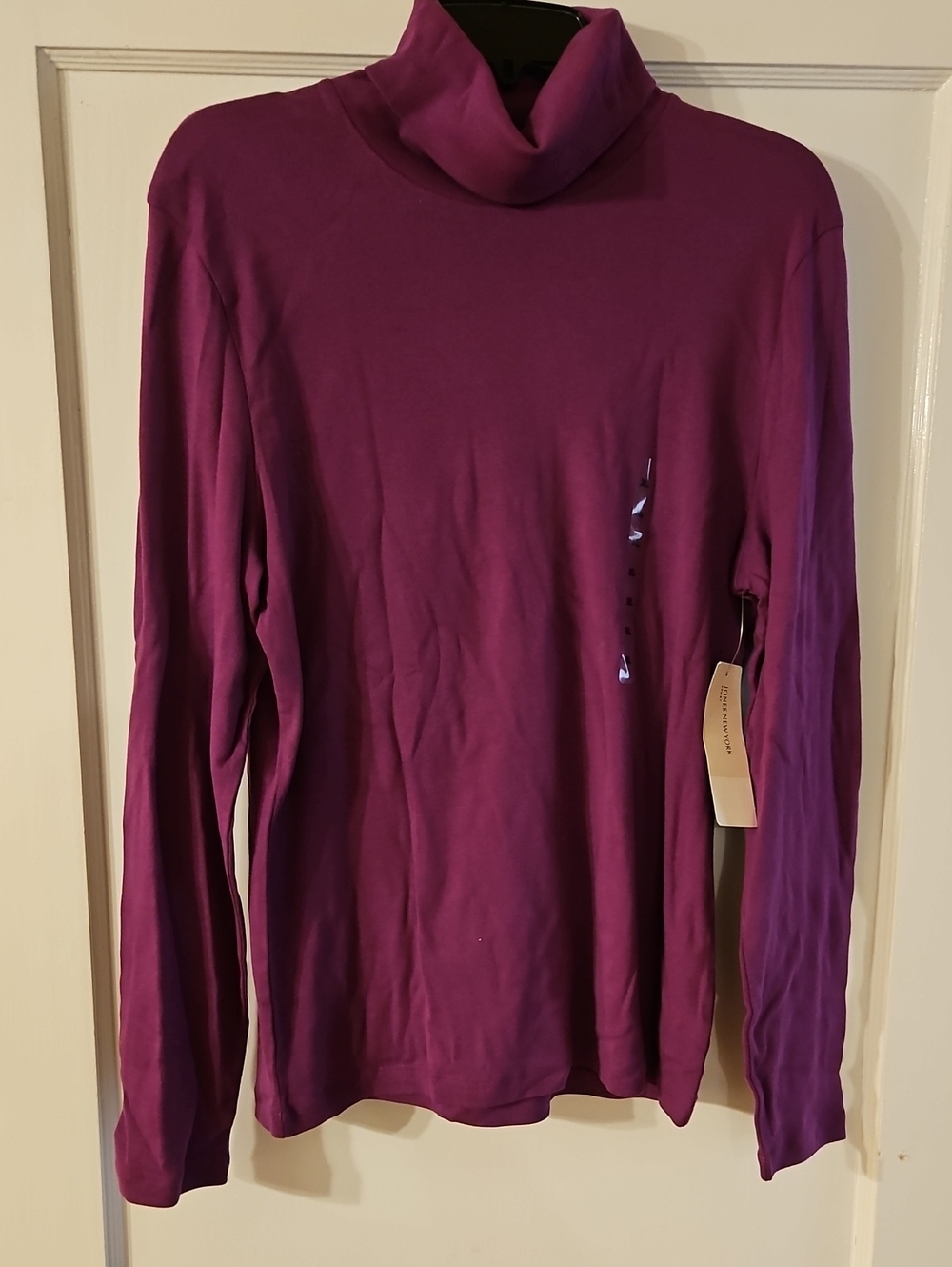 Women's Long-Sleeve Turtleneck  in Plum
